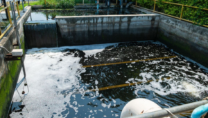 contaminants