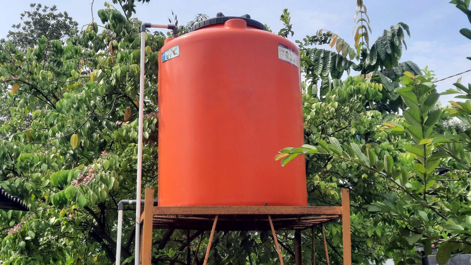 free water testing